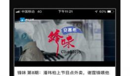 蓝莓视频,探索视觉盛宴的奇幻之旅